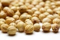 Coriander seed