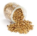 Coriander Seed in a Glass Royalty Free Stock Photo