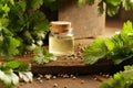 Coriander seed oil in a glass bottle on a rustic wooden background Royalty Free Stock Photo