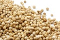 Coriander seed