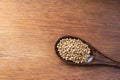 Coriander seed, spices, in wooden spoon on rustic wood table background Royalty Free Stock Photo