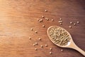 Coriander seed, spices, in wooden spoon on rustic wood table background Royalty Free Stock Photo