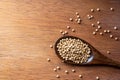 Coriander seed, spices, in wooden spoon on rustic wood table background Royalty Free Stock Photo