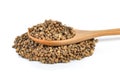 Coriander seed in the wood spoon on white background Royalty Free Stock Photo