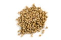 Coriander seeds