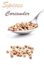 Coriander seeds Royalty Free Stock Photo