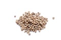 Coriander Seeds Royalty Free Stock Photo