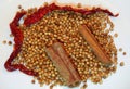 Coriander seeds, cinnamon sticks and dried chillies Royalty Free Stock Photo