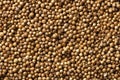 Coriander seeds close up texture background Royalty Free Stock Photo