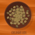 Coriander seeds flat design vector icon.