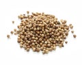 Coriander seeds, indian spice Royalty Free Stock Photo