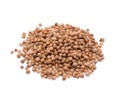 Coriander seeds isolated on white background Royalty Free Stock Photo