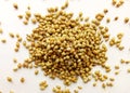 Coriander Seeds