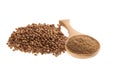 Coriander seeds and powder on a wooden spoon Royalty Free Stock Photo