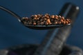 Coriander seeds, on suspended tea spoon, with natural stone mortar and pestle contained in the background. Royalty Free Stock Photo