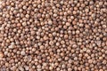 Coriander Seeds texture background. Royalty Free Stock Photo