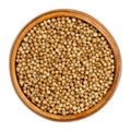 Coriander seeds, whole dried coriander fruits, in a wooden bowl