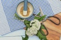 Coriander seeds and wild garlic