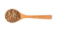 Coriander seeds in wood spoon on white background. Royalty Free Stock Photo