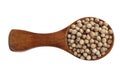 Coriander seeds in wood spoon on white background Royalty Free Stock Photo