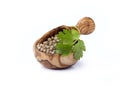 Coriander seeds in wooden bowl isolated on white background. Coriander fresh and dry Royalty Free Stock Photo