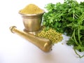 Coriander in various forms Royalty Free Stock Photo