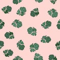 Coriander vector hand drawn illustration seamless pattern