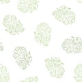 Coriander vector hand drawn illustration seamless pattern.