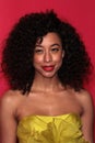 Corinne Bailey Rae Royalty Free Stock Photo