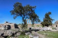 Corinth Greece - Remaining standing columns of Temple of Apollo viewed under the limbs of a small tree that stands in the midst of