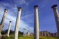 Corinthian columns Royalty Free Stock Photo