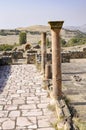 Corinthian columns and ruins of ancient city in Macedonia