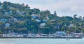 Corinthian Yacht Club aerial of Tiburon cliff covered in large expensive houses for the rich