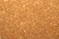 Cork background macro. corkwood texture. wooden backdrop