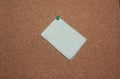 Cork board Royalty Free Stock Photo