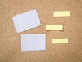Cork board with blank note paper Royalty Free Stock Photo