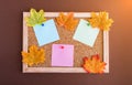 Cork Board for notes on a brown background. Variegated foliage. Back to school concept. Flatlay Royalty Free Stock Photo