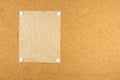 Cork board with sticky note pinned Royalty Free Stock Photo