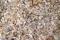 Cork board texture Royalty Free Stock Photo