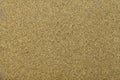 Cork board texture brown background Royalty Free Stock Photo