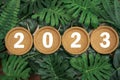 Cork coasters on tropical leaf background. 2023 Happy New Year with christmas lantern decorative on leaf