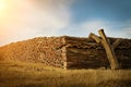 Cork Harvesting Royalty Free Stock Photo