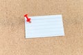 Cork memory board with pinned blank piece of paper, notes, bulletin board, horizontal Royalty Free Stock Photo