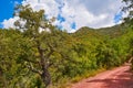 Espadan forest in Castellon Royalty Free Stock Photo