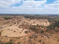 Cork oaks forest field in Alentejo, portugal aerial shot