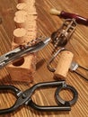 Cork plugs and corkscrews for wine bottles