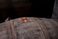 Cork and seal close up, old porto lodge with rows of oak wooden casks for slow aging of fortified ruby or tawny porto wine in Vila Royalty Free Stock Photo