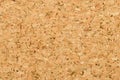 Cork sheet surface with fine texture, macro photo Royalty Free Stock Photo