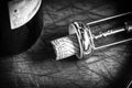 Cork stopper of italian wine Royalty Free Stock Photo