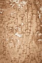 Cork wall full of staples and remnants of advertising papers Royalty Free Stock Photo